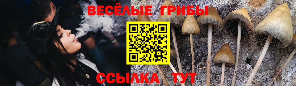 где купить наркотик  Галлюциногенные грибы Psilocybine cubensis  Обь  Вход с VPN  Галлюциногенные грибы мухоморы 