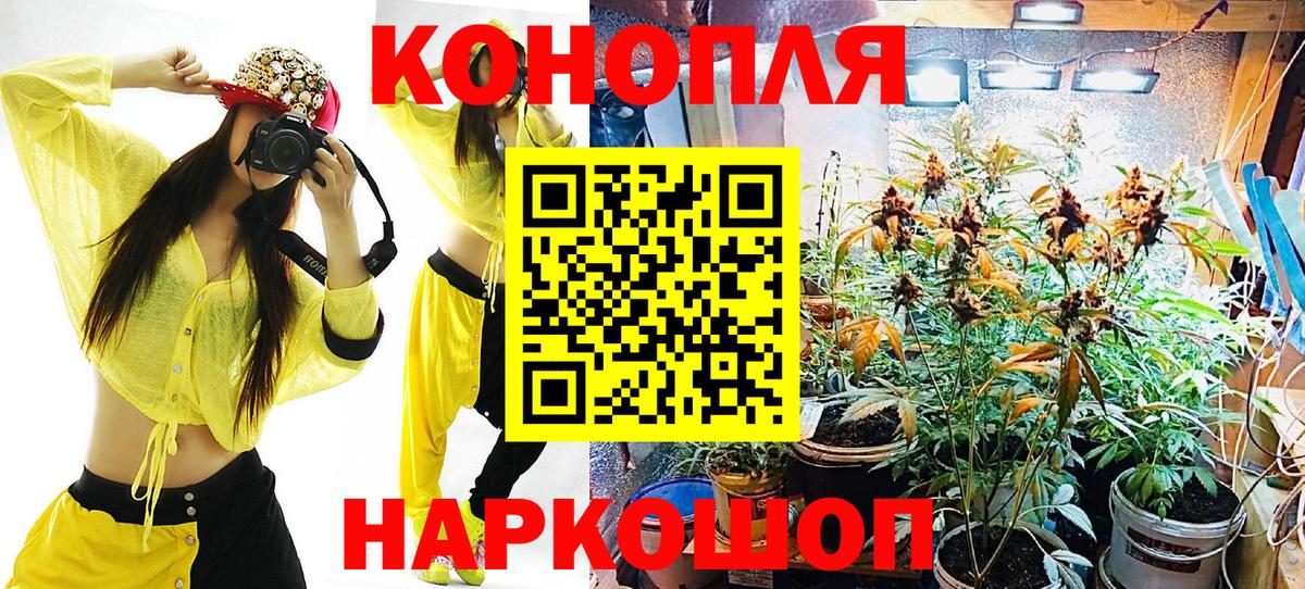 Обь  Конопля индика  Вход с VPN  Бошки марихуана конопля 